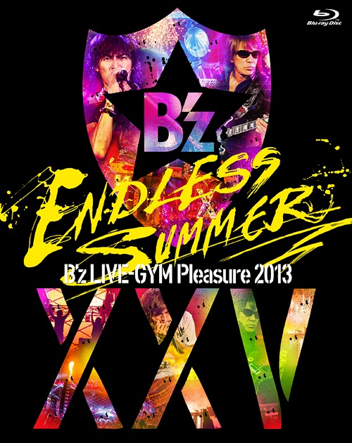 pleasure2013completebd